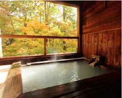 タカミヤヴィレッジホテル樹林